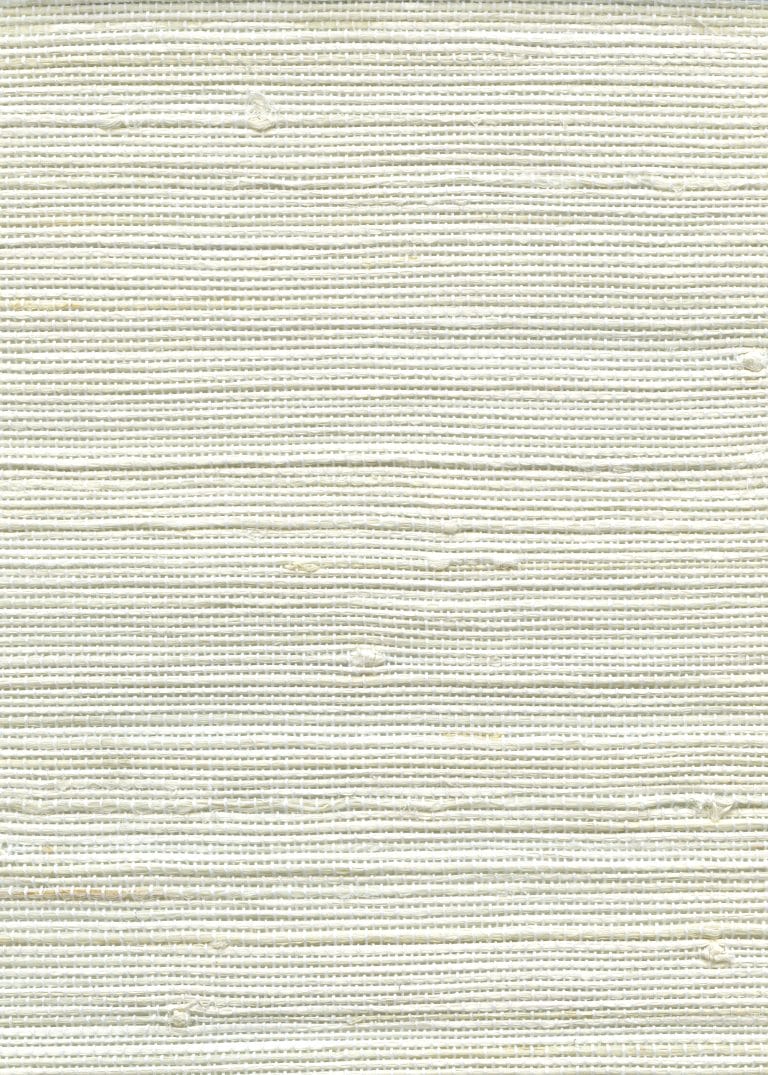 Aires White