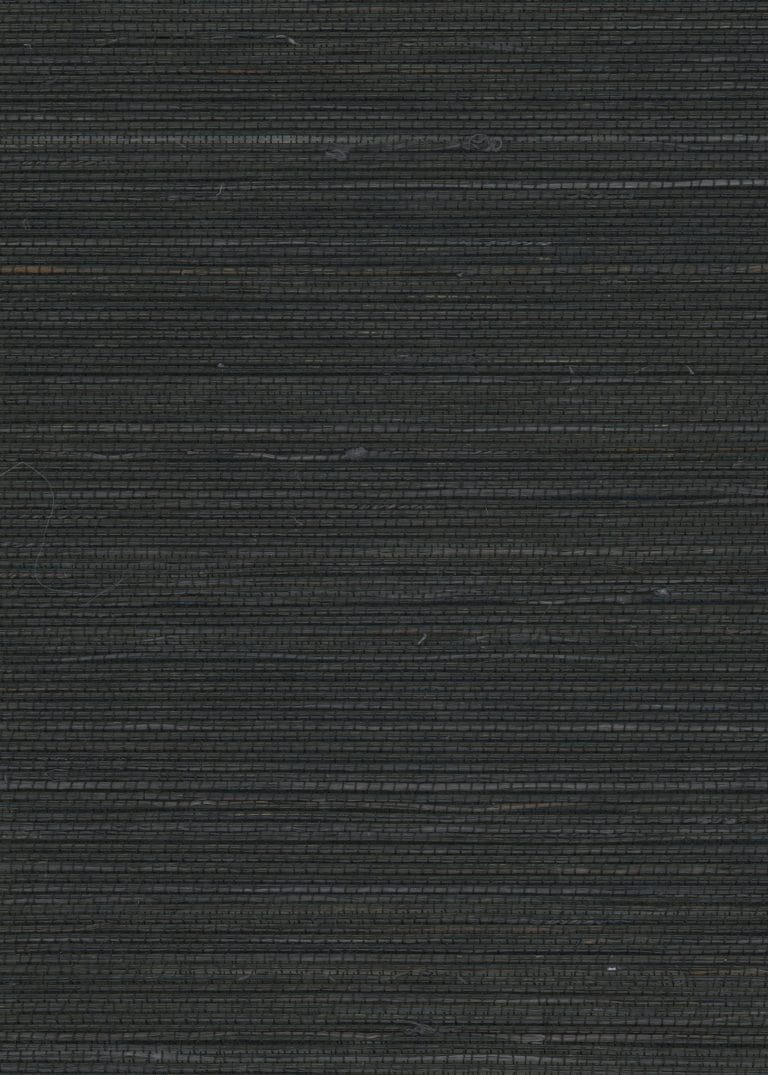 Arista Black