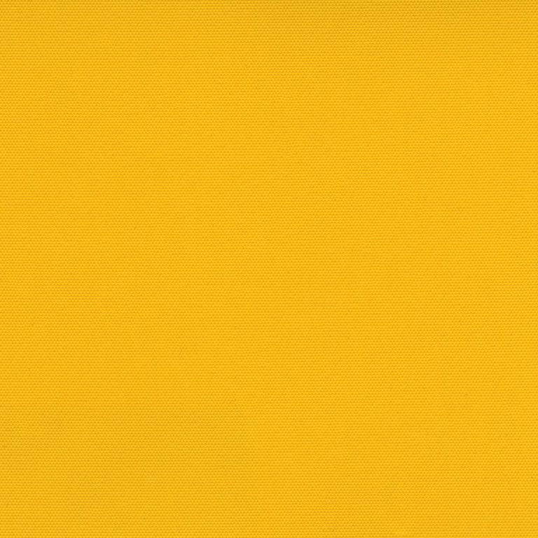 Carnival Ochre