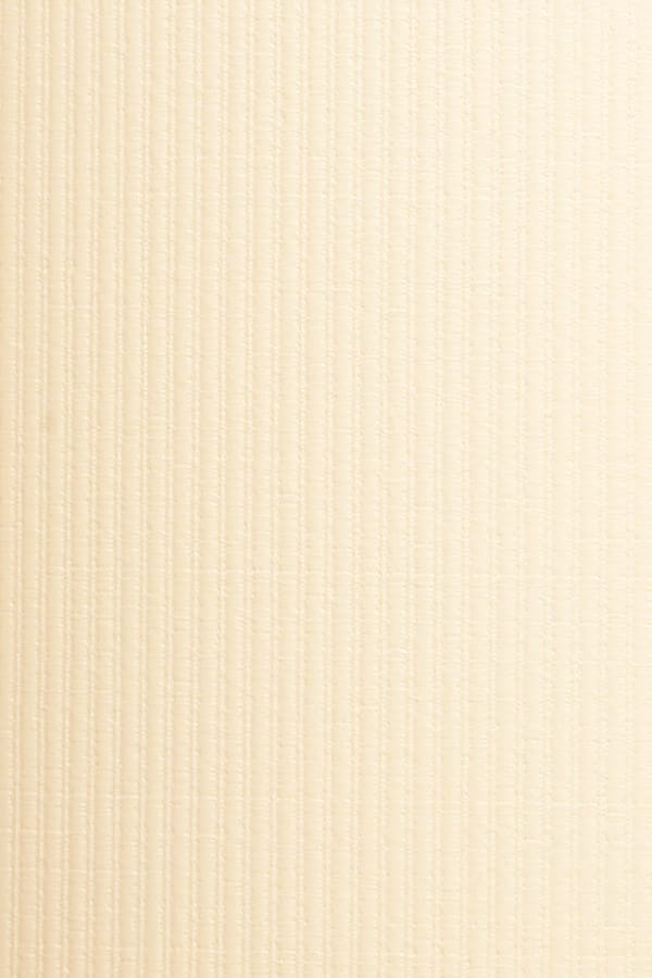 Stitchbond Ivory