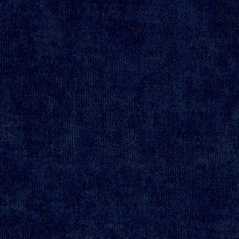 Windsor DO Navy